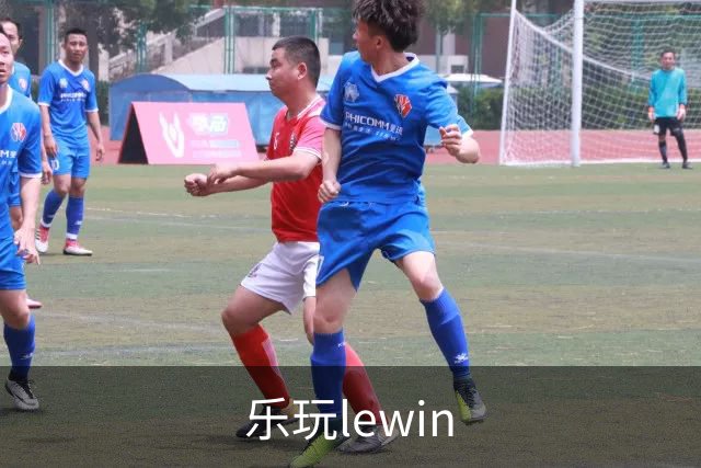 乐玩lewin公司环境